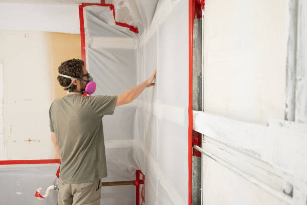 Maysville, NC Mold Removal Company
