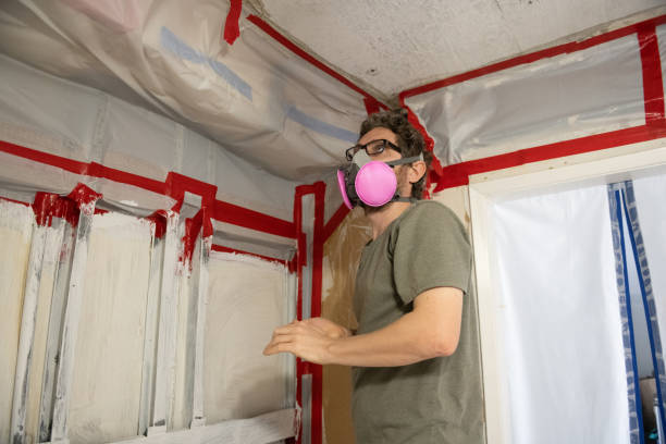 Biohazard Mold Removal in Maysville, NC