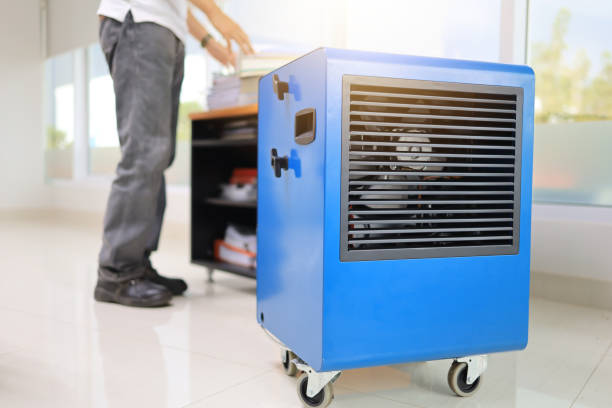 Best Indoor Air Quality Assessment  in Maysville, NC